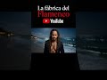 🔥 Mirando El Ayer | IA Flamenco/Reggae Fusión de Nostalgia y Soledad (Flamenco 2026)