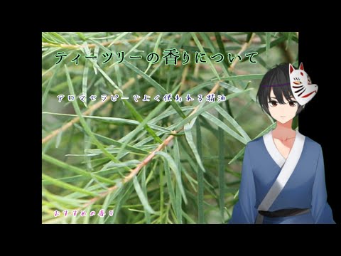 ティーツリーについて詳しく解説