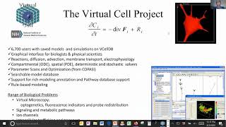 CCB Workshop 2020 - VCell (Virtual Cell) Tutorial with Dr. Ann Cowan