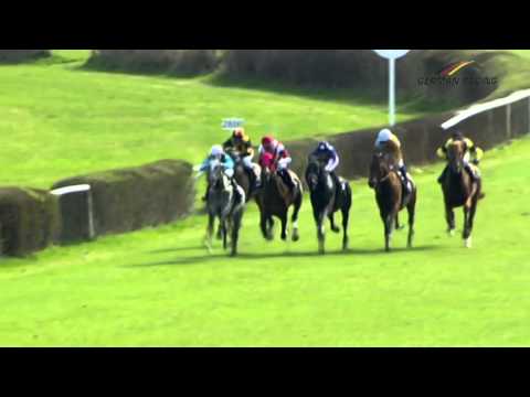 Berlin-Hoppegarten: Preis von Dahlwitz (Listenrennen) - Sieger: Technokrat