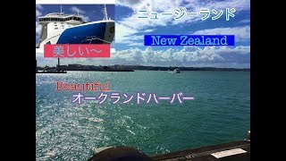 必見!美しい!!オークランドハーバー