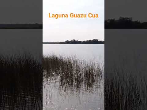 Laguna de Guazu Cua #ñeembucu #turismo #paraguay #viajes #guazucua #america #travel