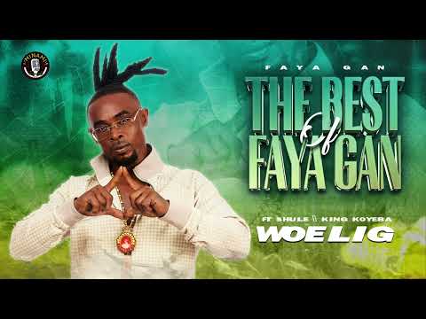 Faya Gan ft. King Koyeba & Shule - Woelig