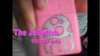 In The Eyes  Of a Mistress - Thank You For Touring (Jelly Fishing)
