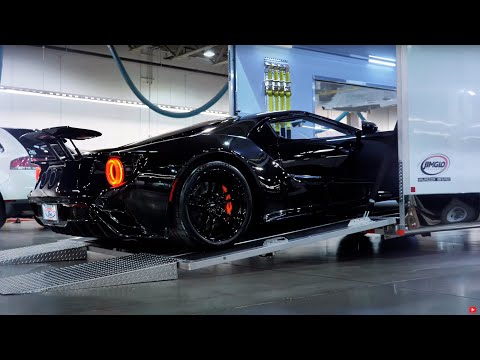 Elite - Enclosed Car Trailer