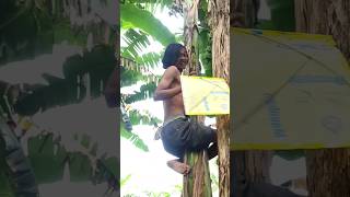 Download lagu layangan putus mp3