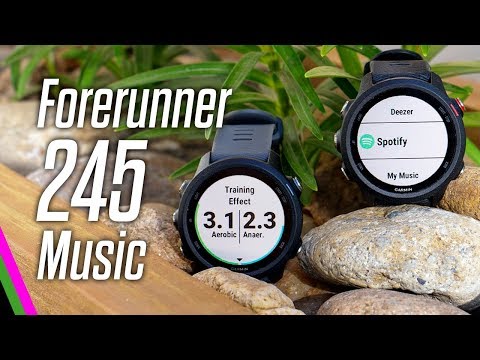 harga garmin forerunner 245 music
