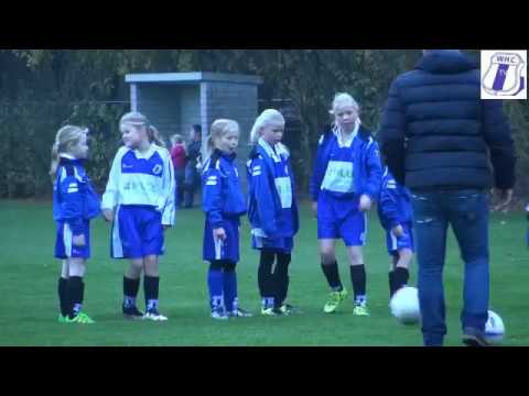 samenvatting WHC MO11-1 - VSCO MO11-1