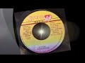 Frankie Paul - Never Give Up - Stone Love 7" w/ Version - 1995