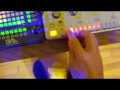 TT 78 vs TT 606 (and the Empress Zoia)