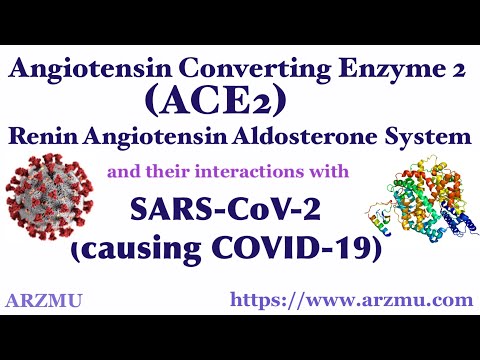 Angiotensin Converting Enzyme 2 (ACE2) | COVID 19 and ACE2 | Renin Angiotensin Aldosterone System