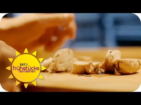 download lagu mp3 mp4 Versalzene Suppe, download lagu Versalzene Suppe gratis, unduh video klip Versalzene Suppe