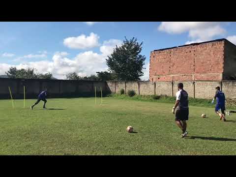 Treino Básico
