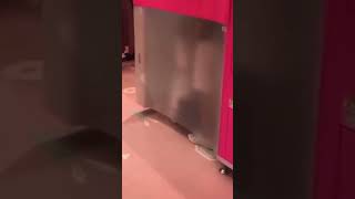 やってんねえwww