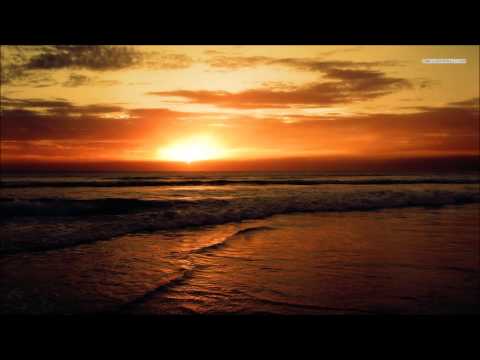 The Ark - Promises Fulfilled