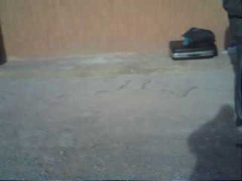 كلمة  محمد  فوقاري  التي  استهل  بها  الحفل  الامازيغي  .  ازيلال