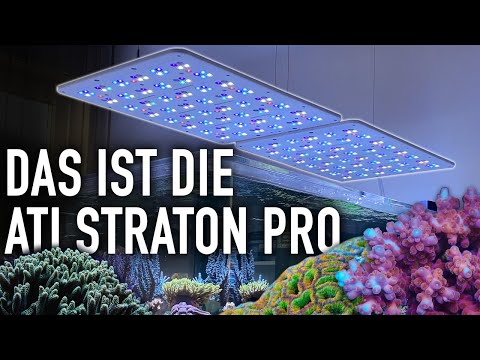 Was kann die ATI STRATON PRO?! - Meerwasseraquarum LED I ATI Aquaristik
