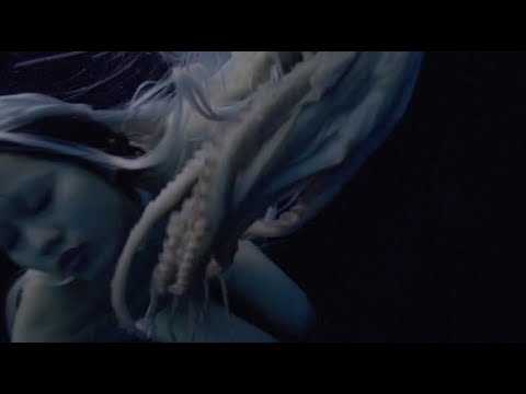 「PREVIEW」Brigade Roussel - Love Leo