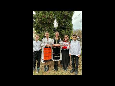 Se aude glas peste Carpati | Clasa a VI-a C Liceul Tehnologic "Octavian Goga" Jibou