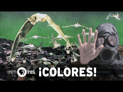 NMPBS ¡COLORES!: Patrick Nagatani