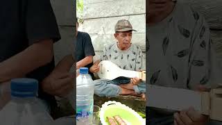 Download lagu suka dengar musiknya, gambus Muna😍😍 mp3