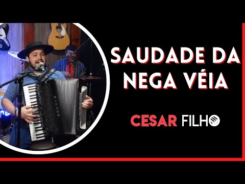 Cesar Filho Gaiteiro - SAUDADE DA NEGA VÉIA