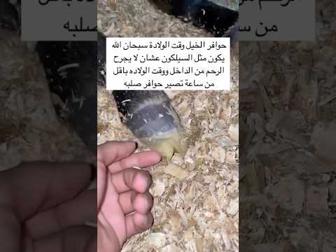 {صُنْعَ اللَّهِ الَّذِي أَتْقَنَ كُلَّ شَيْءٍ خلقه}