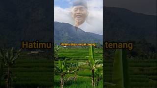 Download lagu your heart will be very calm #wisewords#motivation#selfadvice#lifeadvice#shortsfeed mp3