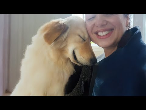 Pas d'ami, pas de problème quand on a un chien ! ❤️