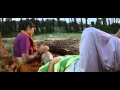 Anushan Song