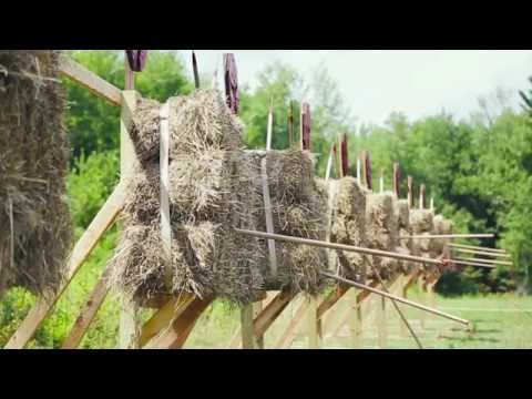 Don't Fear the Spear PT 2 | Spear Throw Tutorial | Ring The Bell