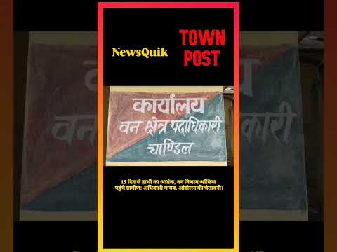 15 दिन से हाथी का आतंक! घर तोड़ रहा, अनाज खा रहा… वन विभाग ऑफिस पहुंचते ही भड़के ग्रामीण |