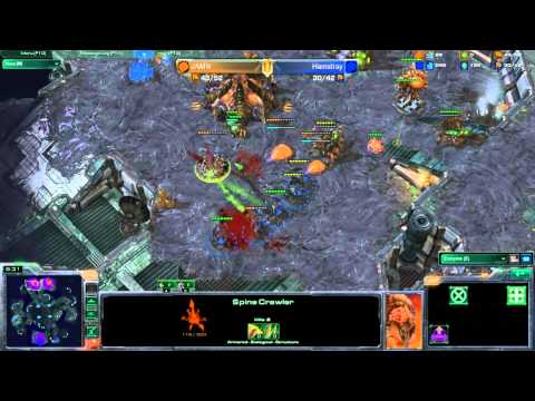 Hammalot - Hamstray vs JAMN