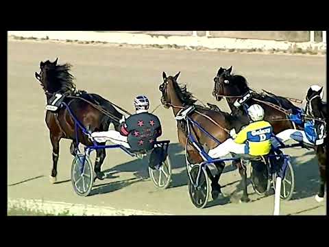 Napoli Trotto 18/01/2022 - 5ª corsa