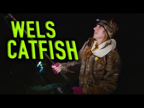 River Monster Fishing for Wels Catfish in Spain