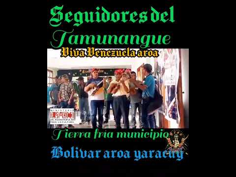seguidores del tamunangue - aroa municipio bolivar yaracuy