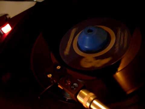 トルキッシュトルコ / THE MICETEETH