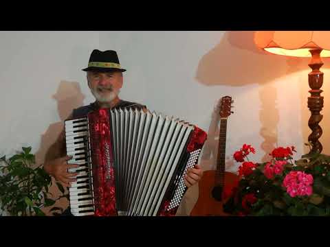 Keby som bol vtáčkom