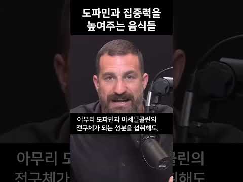 도파민과 집중력을 높여주는 음식들? 👀 | 스탠포드 교수 앤드류 휴버맨 (앤드류 후버만) #앤드류휴버맨