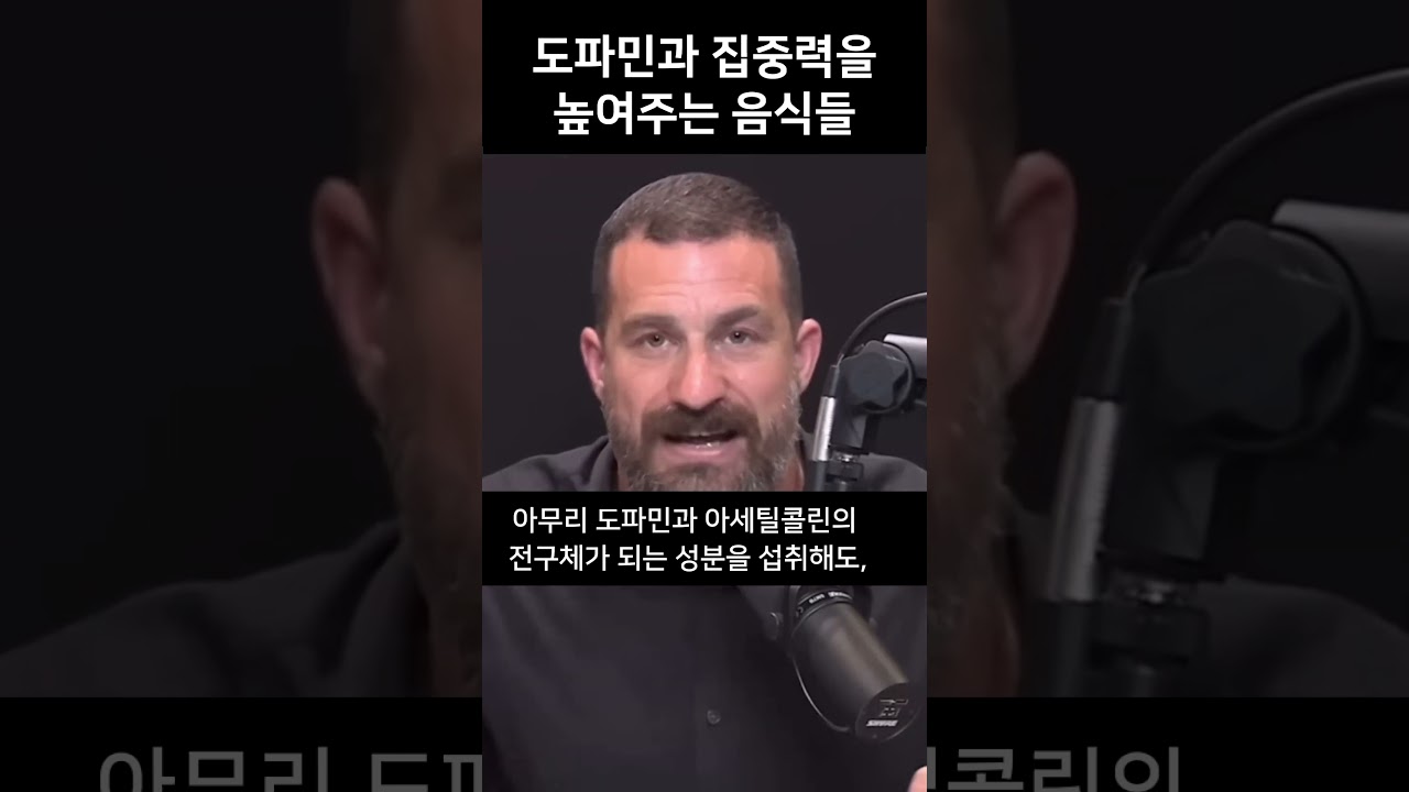 도파민과 집중력을 높여주는 음식들? 👀 | 스탠포드 교수 앤드류 휴버맨 (앤드류 후버만) #앤드류휴버맨