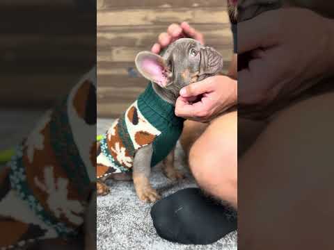 Video 1