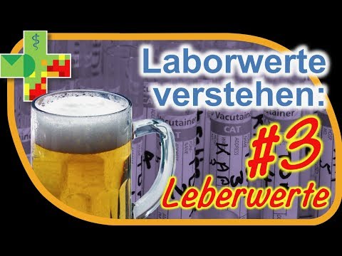 Leberwerte zu hoch? ALAT, ASAT, GammaGt und Co. verstehen!