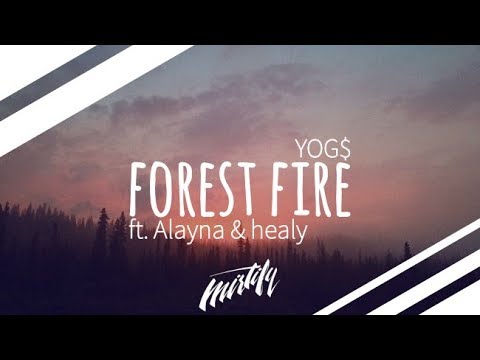 YOG$ - Forest Fire (ft. alayna & healy)