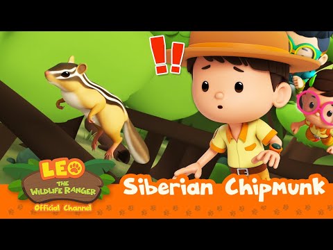 Witness21  2023 06 24