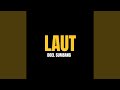 Laut