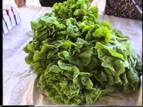 Novo Miloševo - Pijaca 02.06.1996