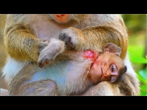 Painful Heart...! Brinya Baby  Sla_/b By Mum Ser_/iously To Stop Supporting Milk Again...!