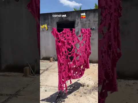 Destruidor de lençóis? Pitbull ganha cobertor novo e deixa sua “marca”