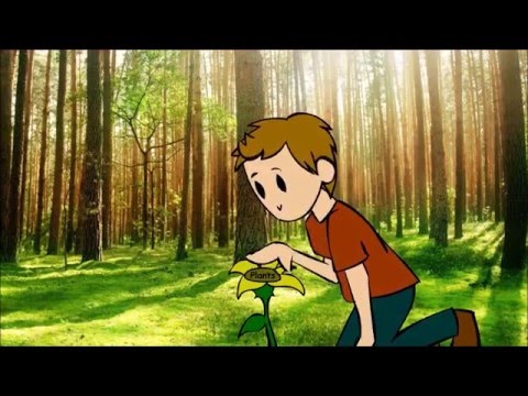 The Six Kingdoms of Life