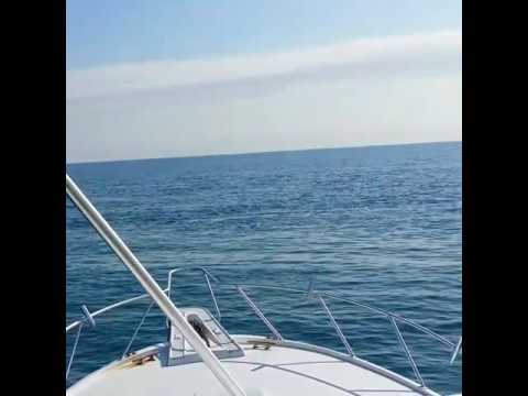 Mark The Shark Finds Floating Brick Of Cocaine While Fishing Off Miami